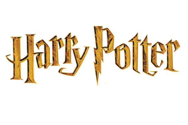 Make-up Harry Potter  la saga continua